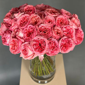 50 Garden Roses Pink Xpression