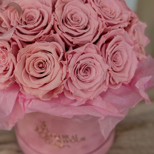 Everlasting Pink Roses