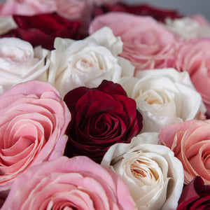50 Roses Red-Pink Mix