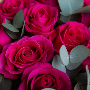 Dozen Hot Pink Roses