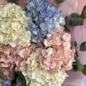 Hydrangea Mix