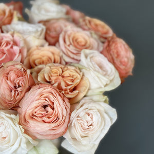 2 Dozen Garden Roses Nude Mix