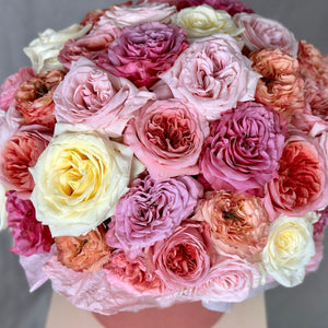 Hat Box of 50 Garden Roses