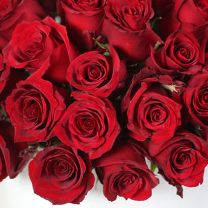 Hat box of Red Classic Roses