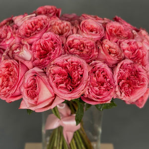 50 Garden Roses Pink Xpression