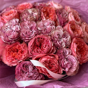 2 Dozen Pink Garden Roses Mix 2