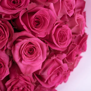 2 Dozen Hot Pink Roses