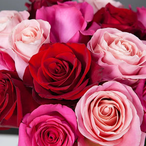 Dozen Roses Red-Pink Mix