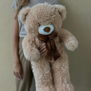 PLUSH TEDDY BEAR