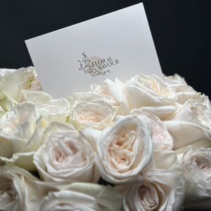 50 Garden Roses White Ohara