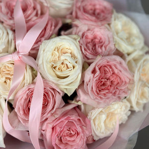 18 Garden Roses White&Pink Ohara