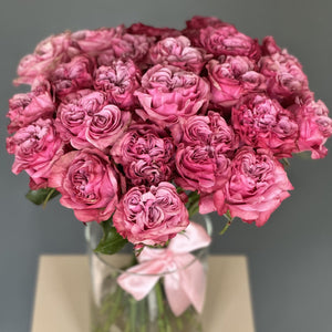 2 Dozen Garden Roses Country Blues