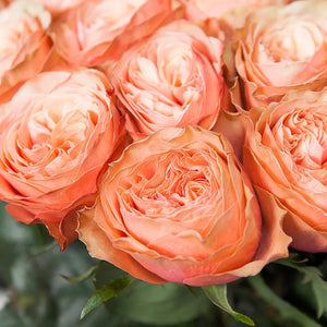 2 Dozen Garden Roses Kahala