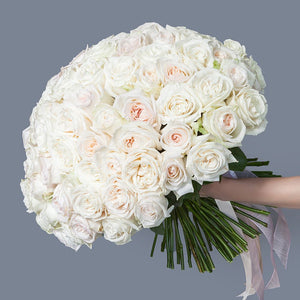 100 Garden Roses White Ohara
