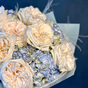 Duo Bouquet of Roses White Ohara&Hydrangea