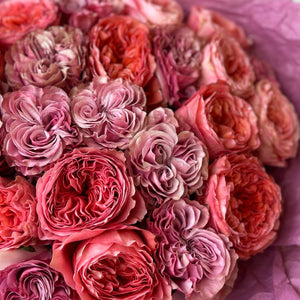 2 Dozen Pink Garden Roses Mix 2