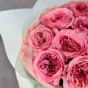 Dozen Pink Garden Roses