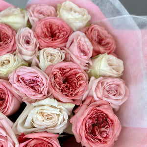 2 Dozen Garden Roses Mix