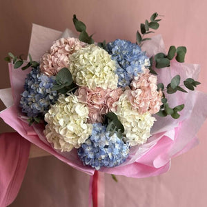 Hydrangea Mix