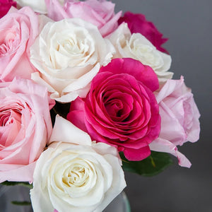 Dozen Roses White-Pink Mix