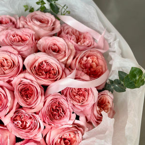 2 Dozen Pink Garden Roses