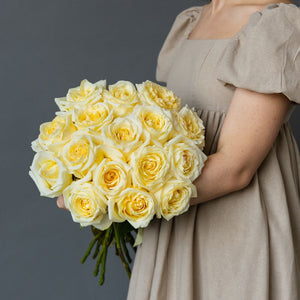 Dozen Cream Garden Roses