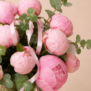 Peonies in a Vase