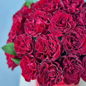 Hat box of Red Garden Roses