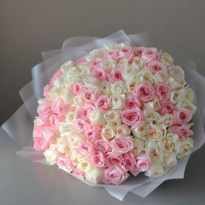 100 Garden Roses Ohara Mix