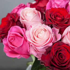 2 Dozen Roses Red-Pink Mix