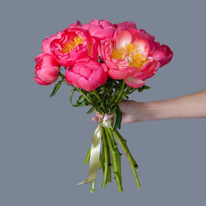 Dozen Coral Peonies