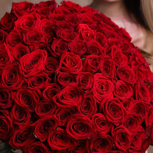 100 Classic Red Roses