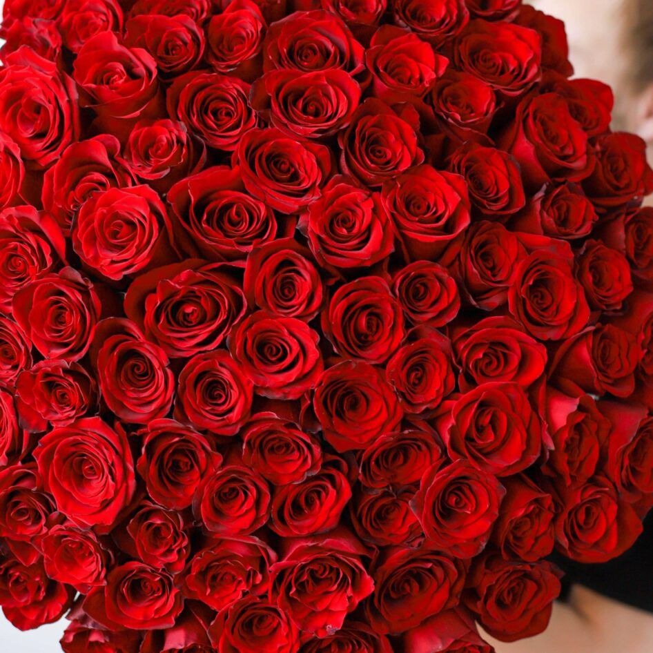 100 Classic Red Roses