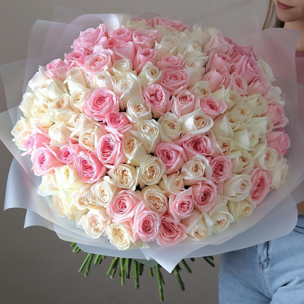 100 Garden Roses Ohara Mix