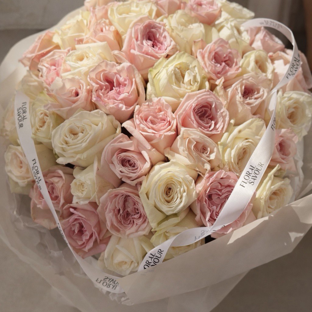 50 Garden Roses White&Pink Ohara