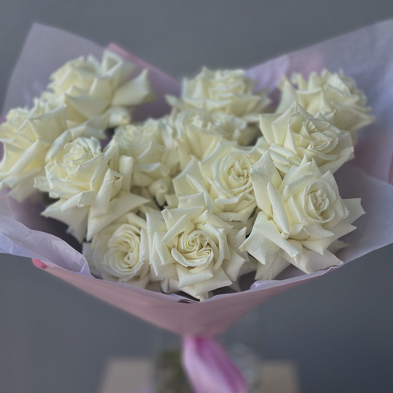 White French Roses