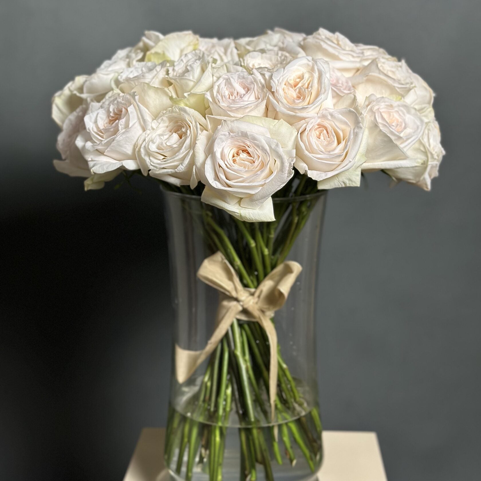 50 Garden Roses White Ohara