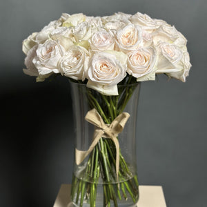 50 Garden Roses White Ohara