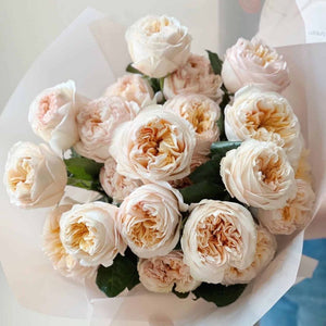 Ivory Garden Roses