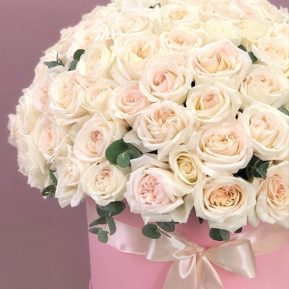 Large Box of White Ohara Roses