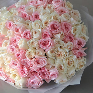 100 Garden Roses Ohara Mix
