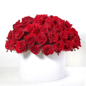Hat box of Red Classic Roses