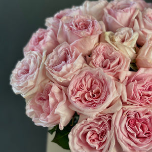 2 Dozen Garden Roses Pink Ohara