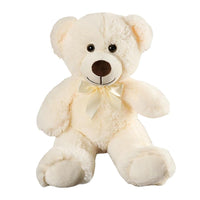 PLUSH TEDDY BEAR
