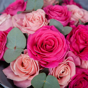 Dozen Pink Roses Mix