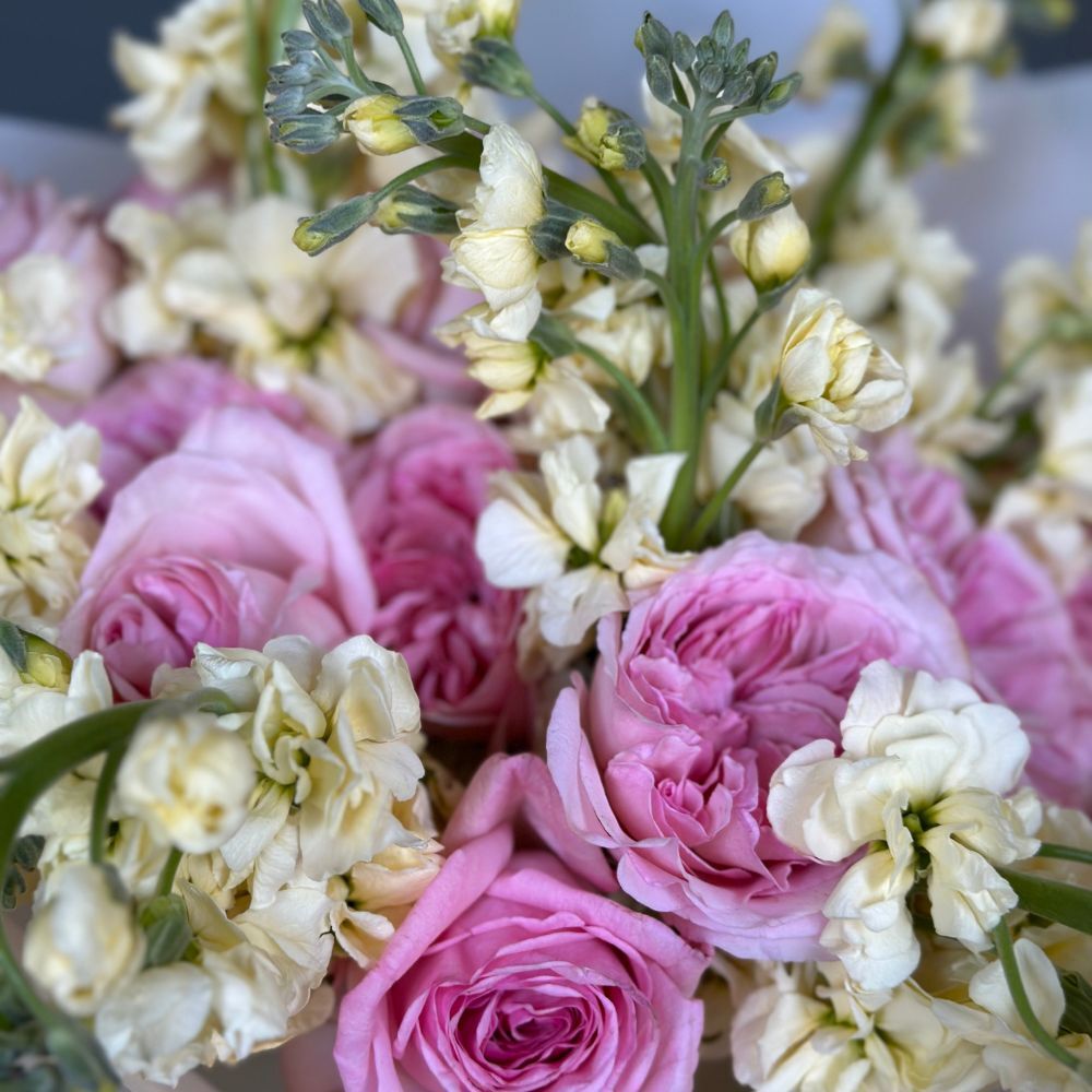 Duo Bouquet of Roses Pink Ohara&Stock