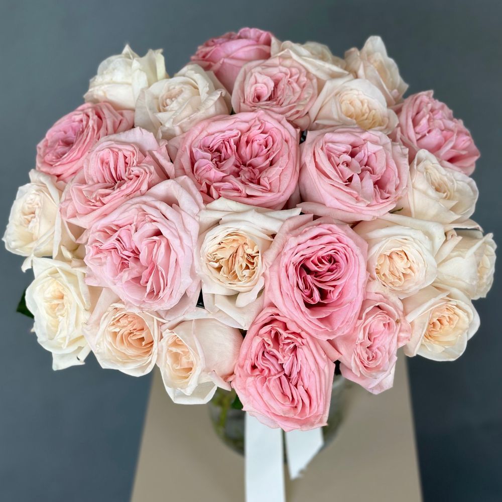 2 Dozen Garden Roses Ohara Mix
