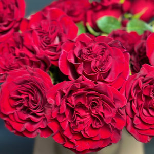 2 Dozen Red Garden Roses