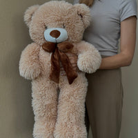 PLUSH TEDDY BEAR