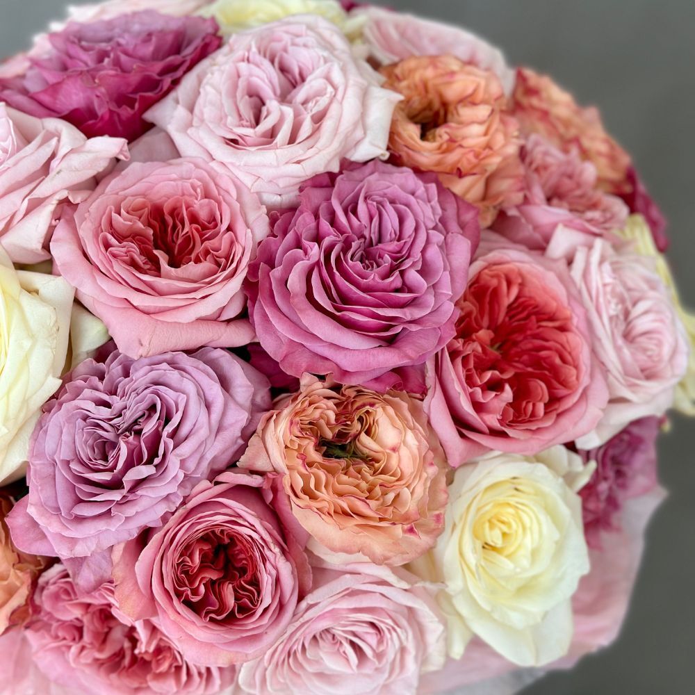 Hat Box of 50 Garden Roses